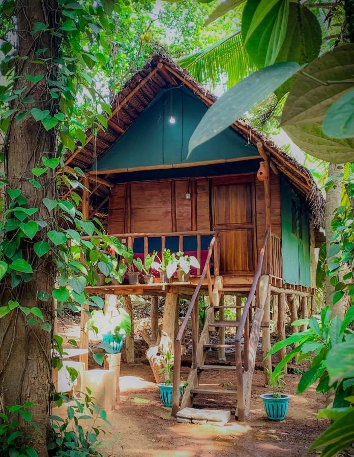Brookline Safari Resort Udawalawe Ngoại thất bức ảnh